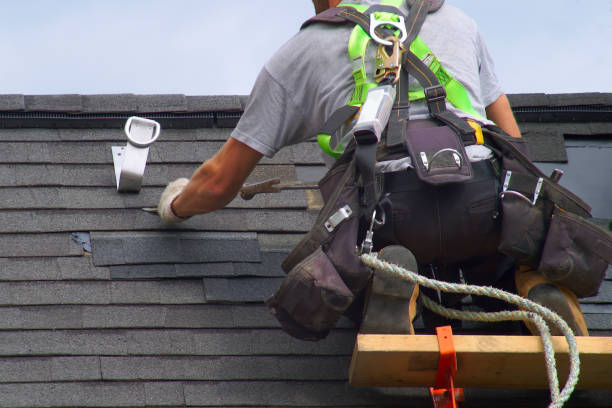 Best Roof Gutter Cleaning  in Ashley, OH