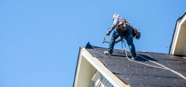 Best Roof Gutter Cleaning  in Ashley, OH